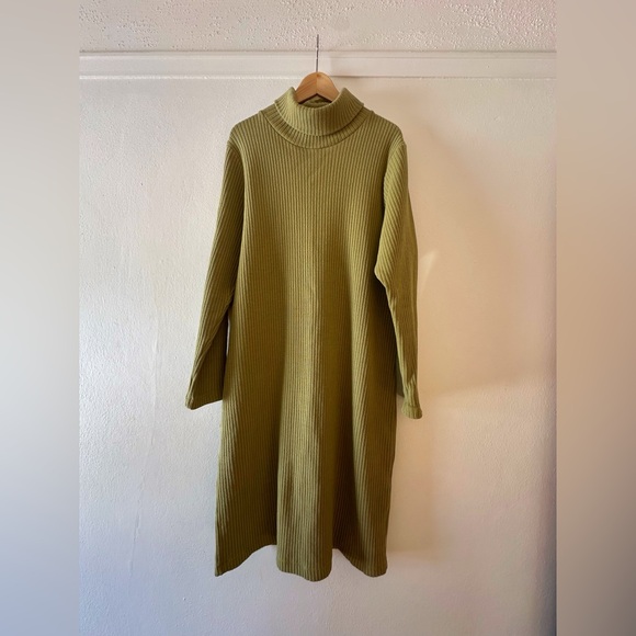Ilana Kohn Dresses & Skirts - Ilana Kohn Sage Green Ribbed Turtleneck Dress